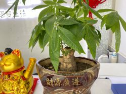 -蕾特恩专业祛痘·皮肤管理