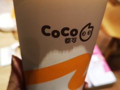 -CoCo都可(西安路民勇店)