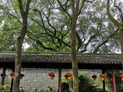 -天一阁博物院