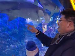 -烟台海昌鲸鲨海洋公园