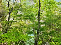 -大连冰峪旅游度假区