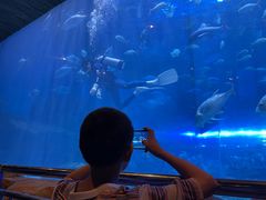 -华夏文旅海洋公园