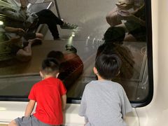 -广州塔(地铁站)