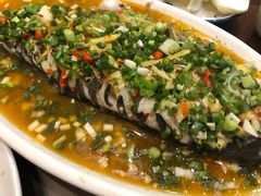 飞虹鱼-飞虹鱼馆(春华路店)