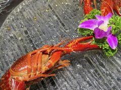 -京悦南门涮羊肉·羊蝎子火锅(田林路店)