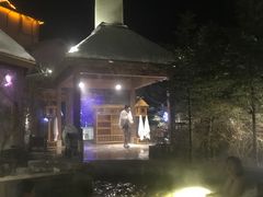 -汉拿山温泉度假酒店