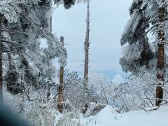 -瓦屋山景区