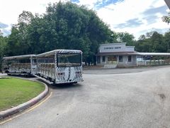 -清迈夜间动物园