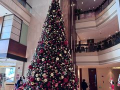 -深圳星河丽思卡尔顿酒店