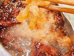 -朱氏胖子烂火锅(洪崖洞店)