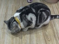 -百金通黄金回收首饰定制维修(珠江路总部)