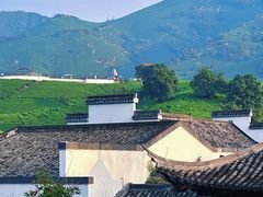 -帐篷客·溪龙茶谷度假酒店