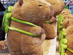 -TheGreenParty(槐房万达店)