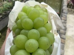 -美家乐农庄·露营·团建(大治路店)