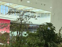 -大树餐厅(红旗街万达店)