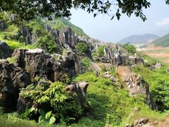 -玉石林风景区