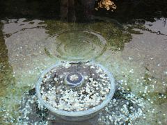 -丽江玉水寨
