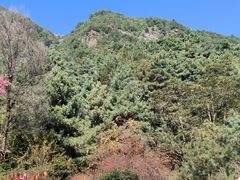 -苍山感通索道