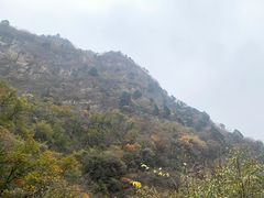 -北京上方山国家森林公园