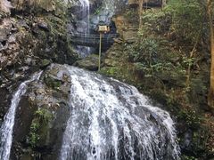 -藏龙百瀑风景区