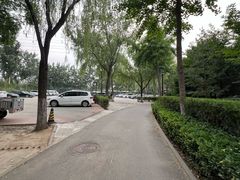 -潇湘甲鱼村(清河店)