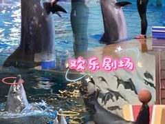 -西安曲江海洋极地公园