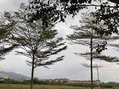 -亚龙湾国际玫瑰谷