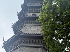 -冶父山国家森林公园