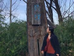 景点-西昌邛海湿地