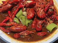 -杨氏青龙虾·羊蝎子(托乐嘉店)
