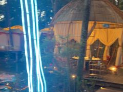 -二荆条·蜀鲜汇城市森林火锅