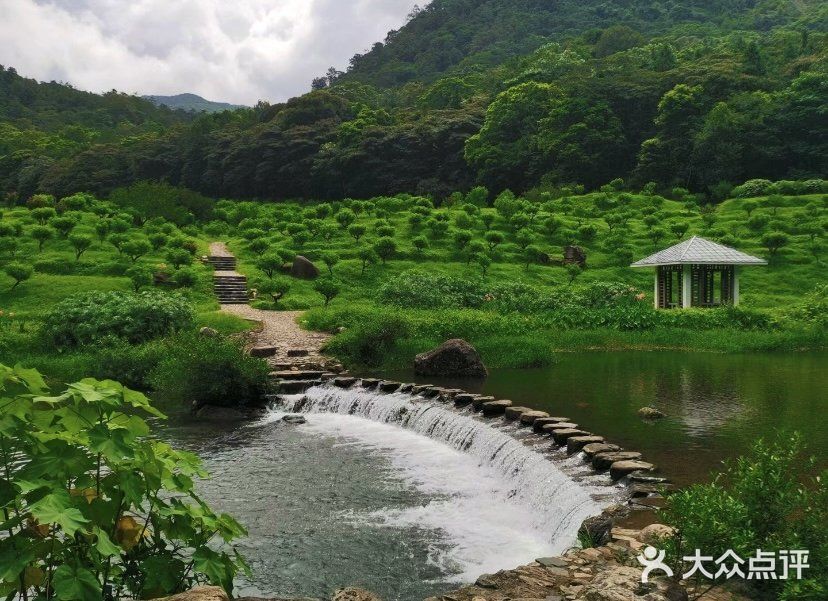 广州市石门国家森林公园图片