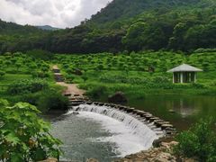 -广州市石门国家森林公园
