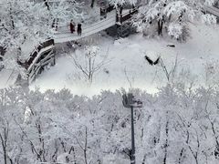 -中旅松花湖滑雪场