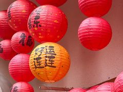 -小懒桔蛋糕店(将军街店)