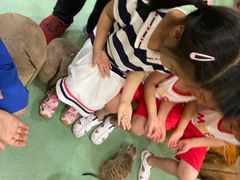 -藦茜花园宠物主题亲子互动体验馆(国顺东路店)