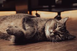 -优刻西服西装定制(金轮国际广场店)