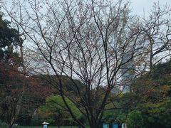 -柳侯公园