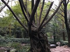 -峨眉山报国寺