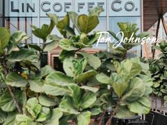 -LIN COFFEE CO(龙珠达店)