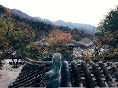 -翼松楼餐厅