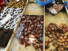 -南沙十九涌渔人码头-南门