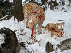 -秦岭天竺山生态文化旅游景区