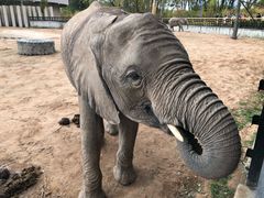 -鄂尔多斯野生动物园