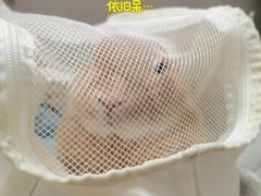 -瑞派申生动物医院·24H夜诊·国际动物医疗中心·骨外科(吴中路店)