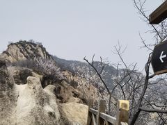 -大岭沟猕猴桃谷风景区