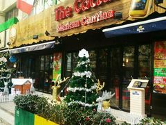 -Cactus墨西哥仙人掌餐厅