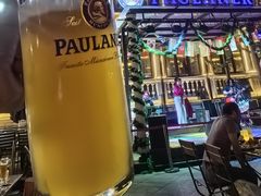 -天津普拉那啤酒坊(意风区店)