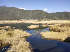 -腾冲北海湿地