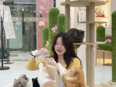 -喵园·猫主题咖啡厅·撸猫·猫咖(国贸店)